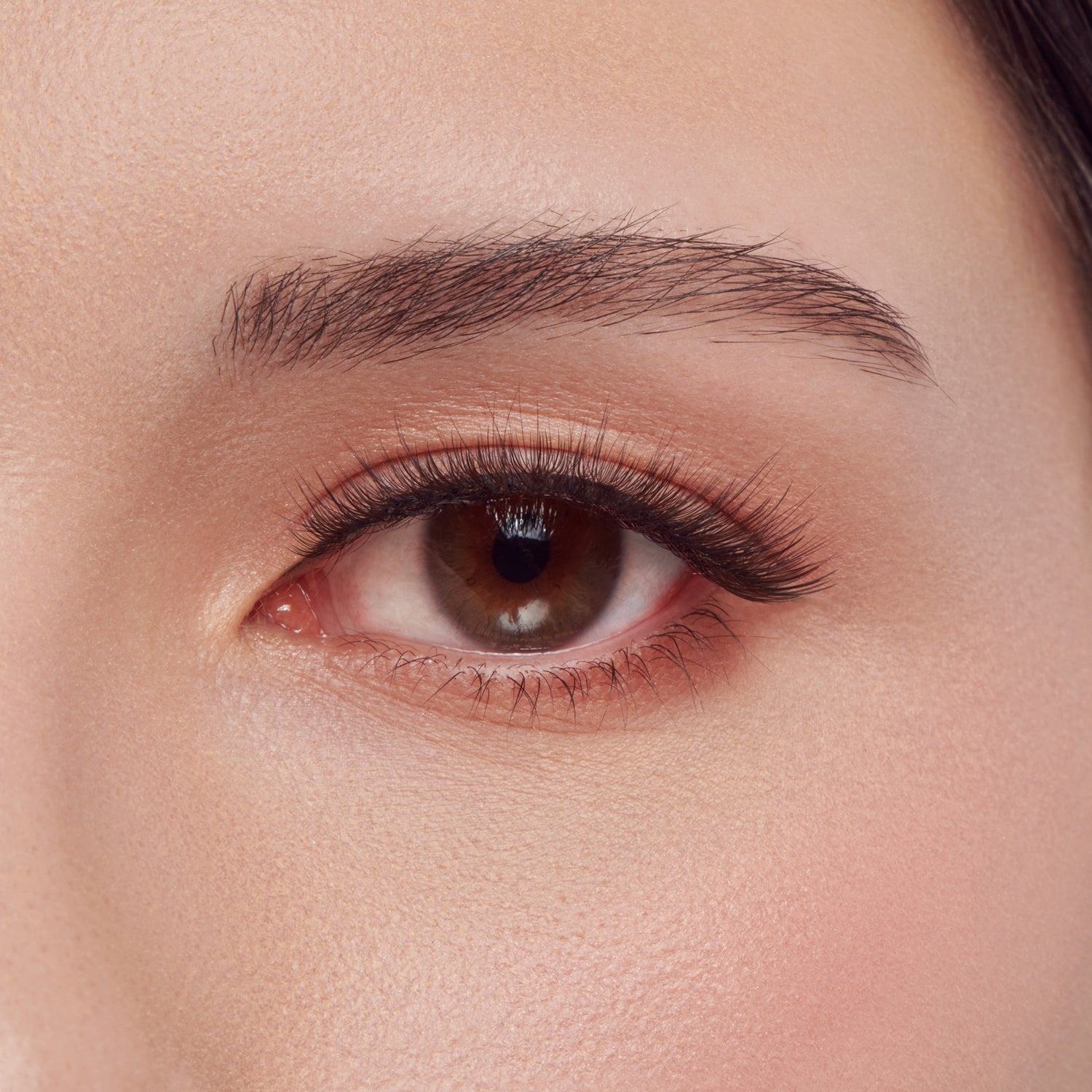Kiss Lash Couture The Muses Collection False Eyelashes - Supreme | 1 Pair, Strip Lashes, 10mm