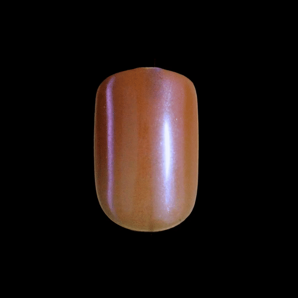 colorFX by imPRESS Press On Nails - Distraction