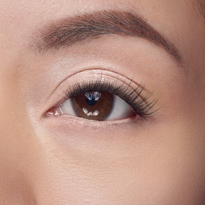 False lashes applied to upper lash line of brown eye with natural makeup look