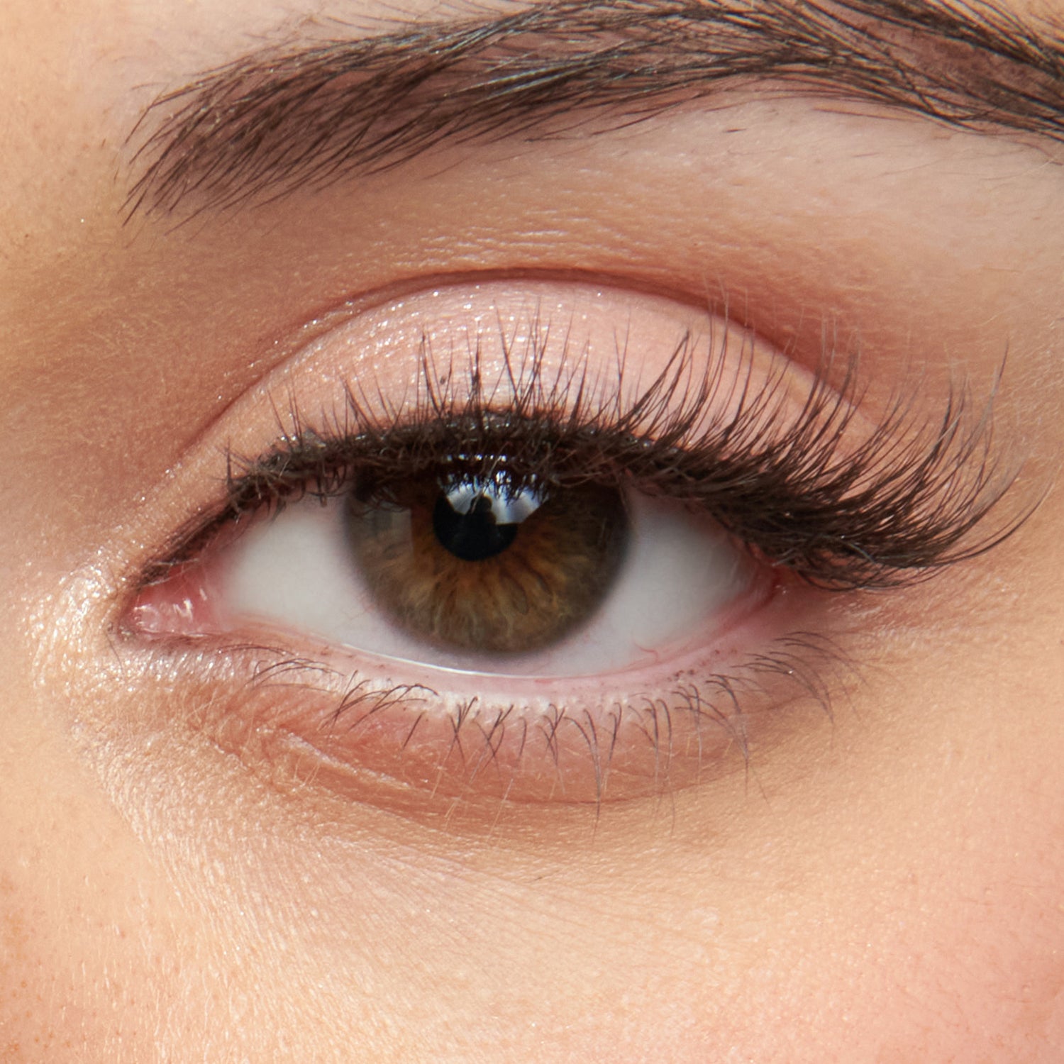 Close-up of a brown eye with long eyelashes