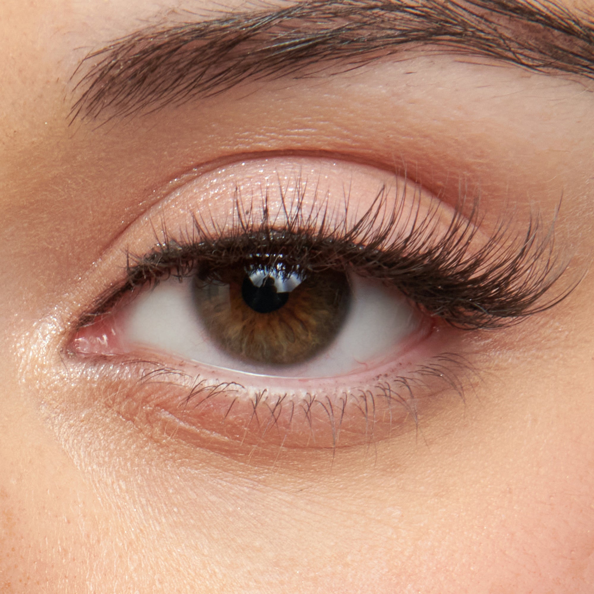 Close-up of a brown eye with long eyelashes