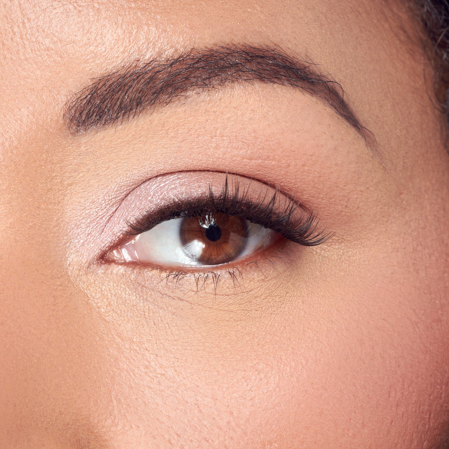 Close-up of brown eye with dark eyeshadow, defined brow, and black eyeliner.