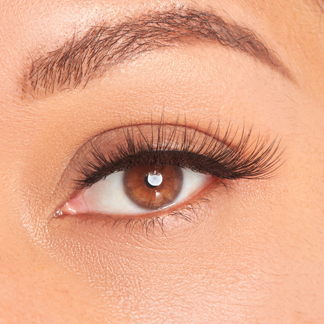 Kiss Ruffle Lashes Full Glam False Eyelashes & Fluttery Lash Extensions – KISS USA