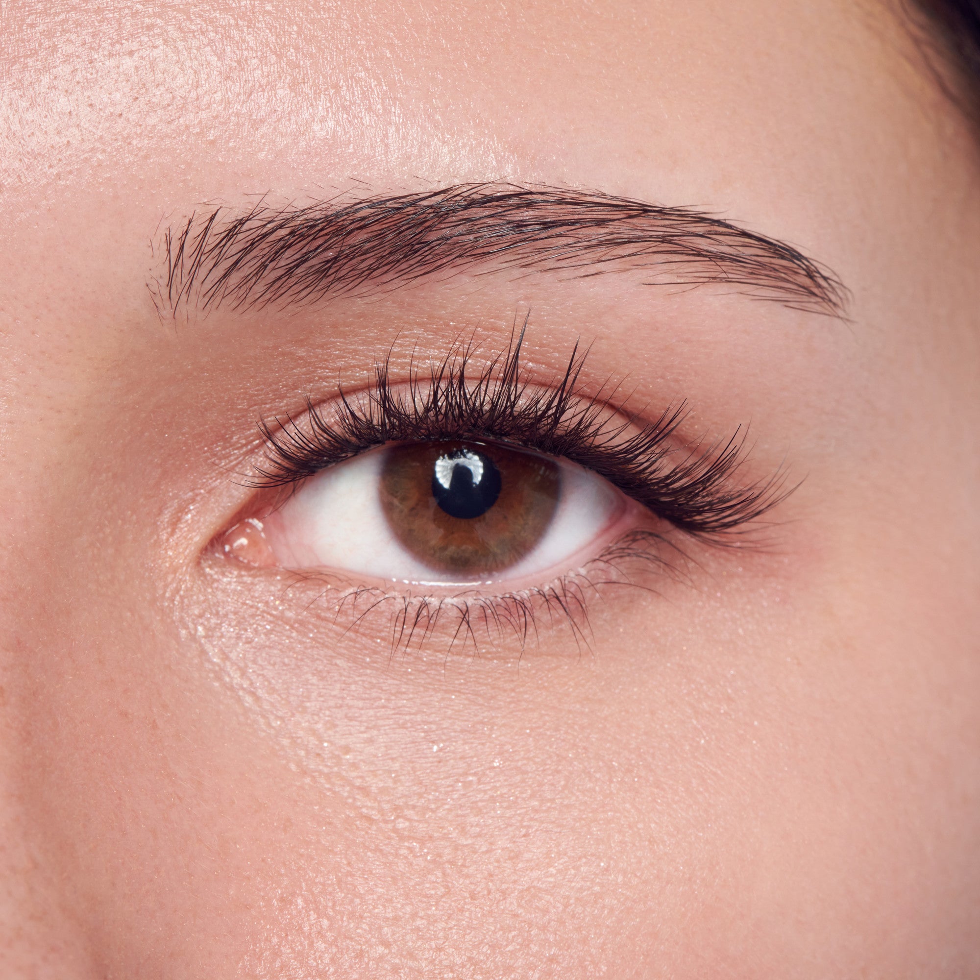 Close-up of a brown eye with dark eyebrow and black mascara on fair skin.