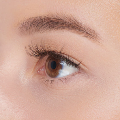 Faux Mink Wisps | 30 Wisps FALSCARA Multipack Faux Wispy 10mm-14mm - Image 4