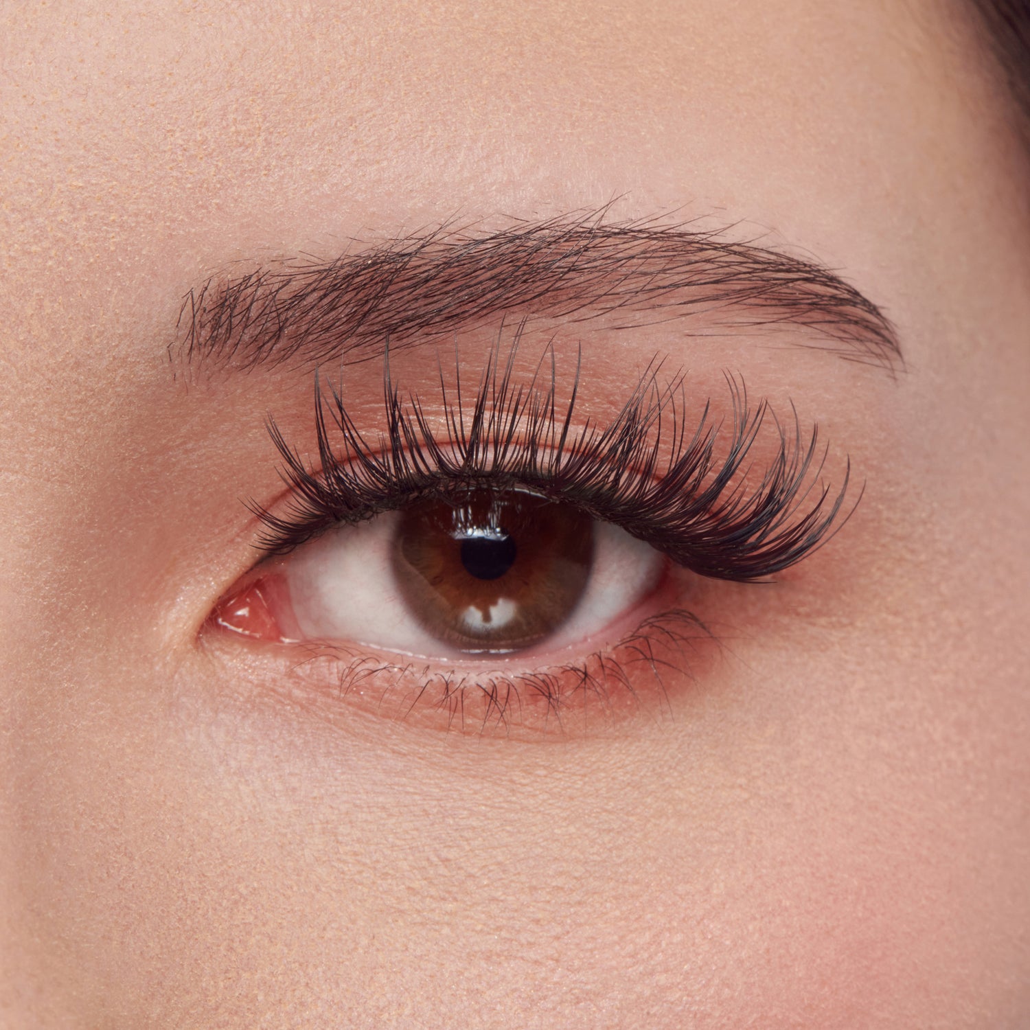 Kiss Lash Couture LuXtensions – Royal Satin