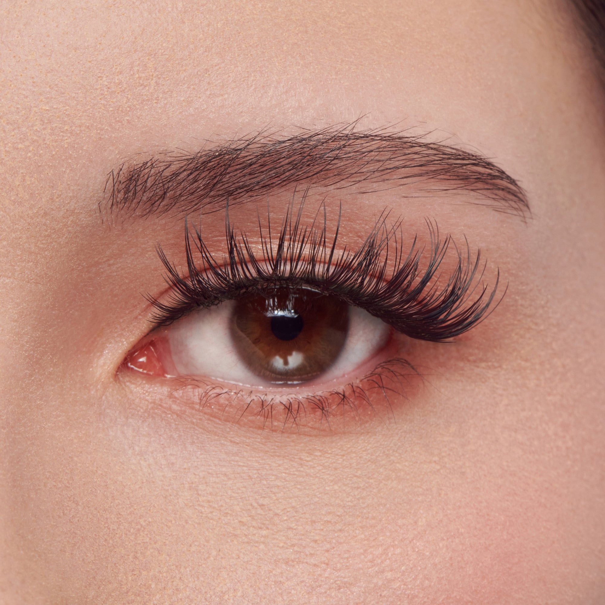 Kiss Lash Couture LuXtensions – Royal Satin