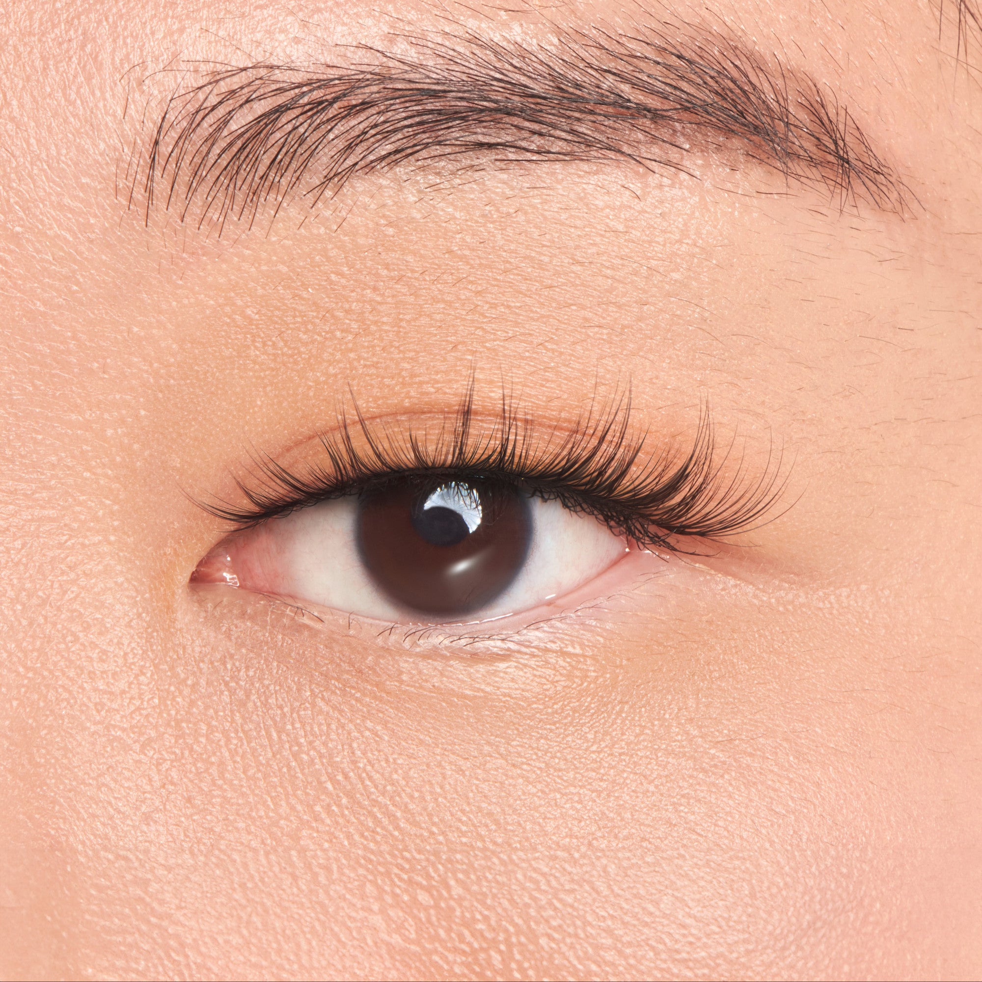 KISS Filter Lashes – Bunny Pretty