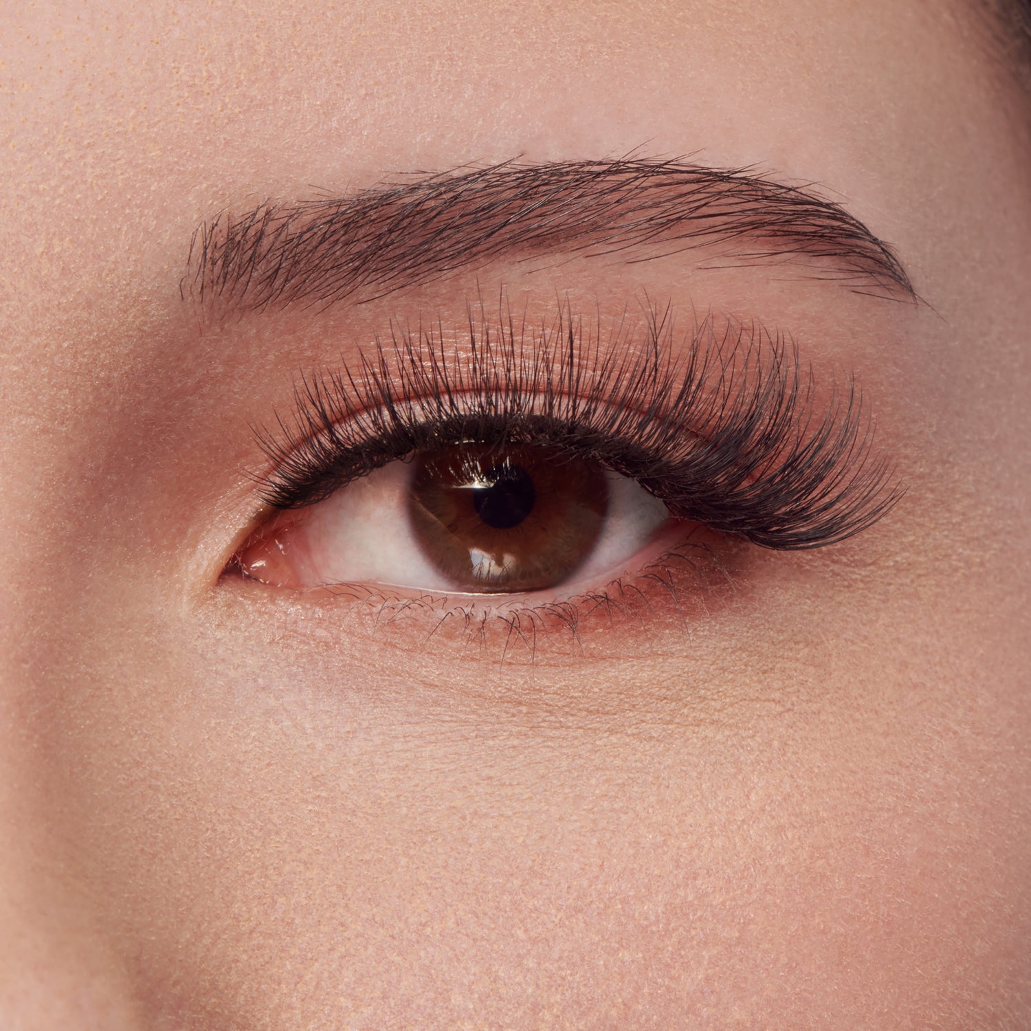Kiss My Lash But Better False Eyelashes 4-Pair Multipack - Drama Mist | 4 Pairs, Strip Lashes, 8mm-16mm