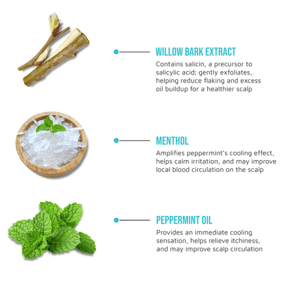 Peppermint Oil Multivitamin Oil To Stimulate & Refresh - Image 8