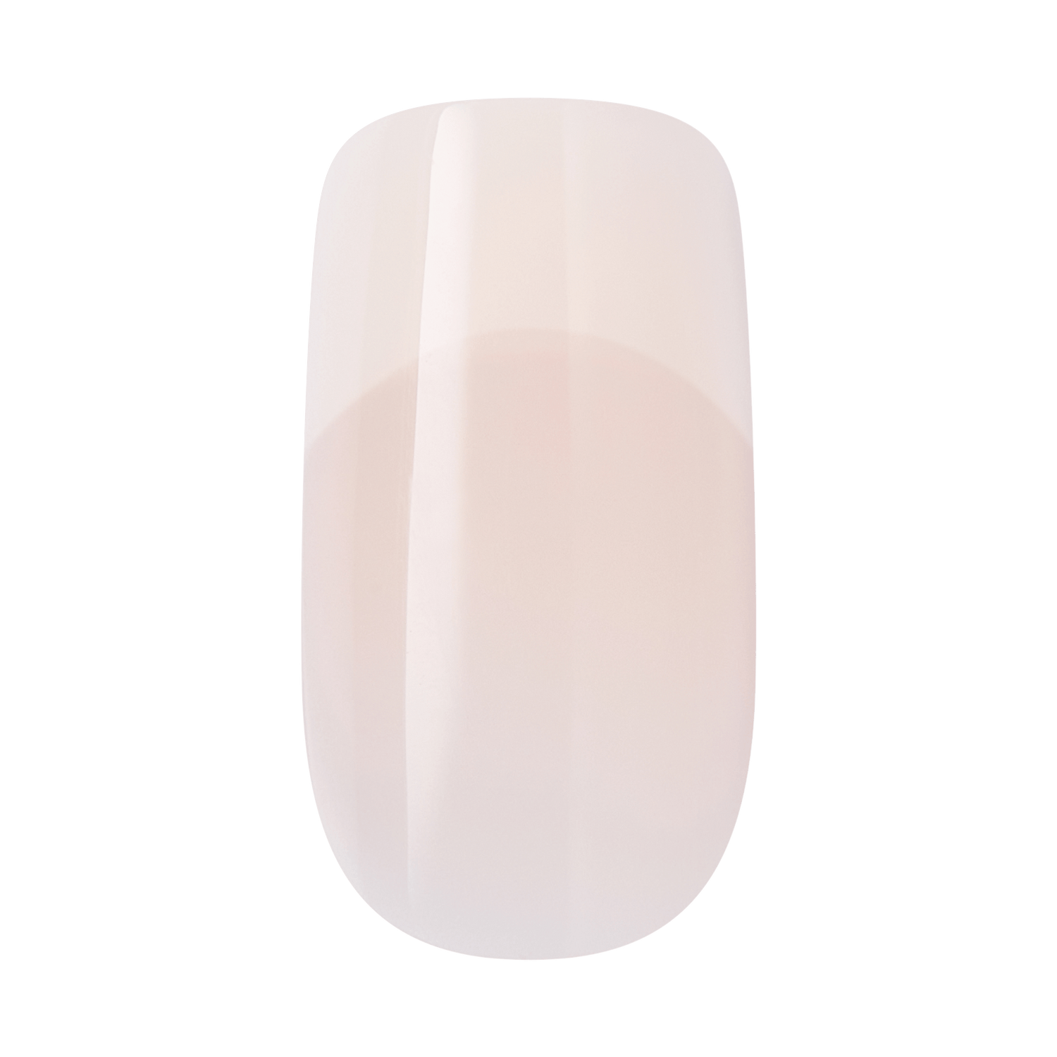 KISS CORE French Press On Glue Nails – Scenario