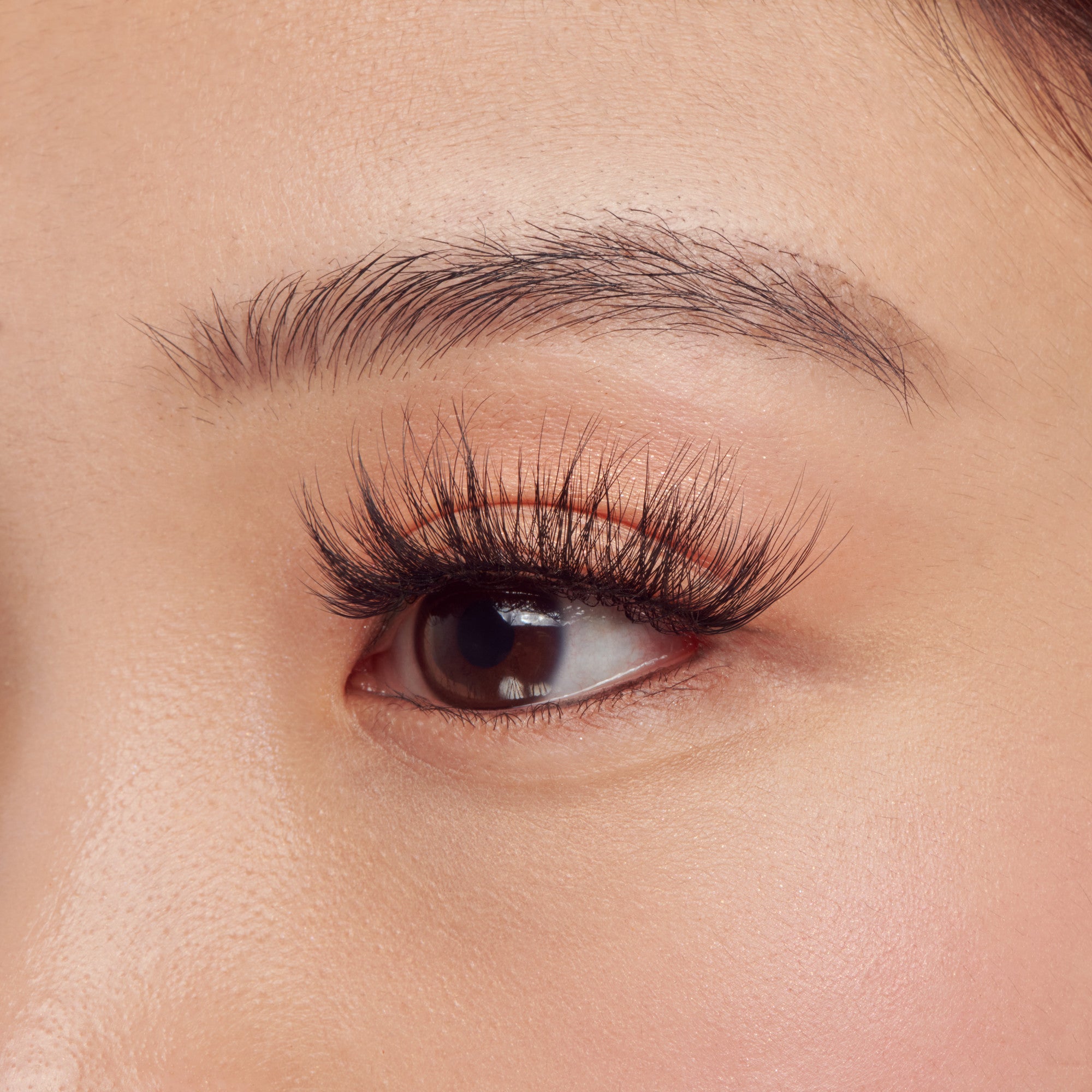 Close-up of an eye with long, dark eyelashes on a neutral background