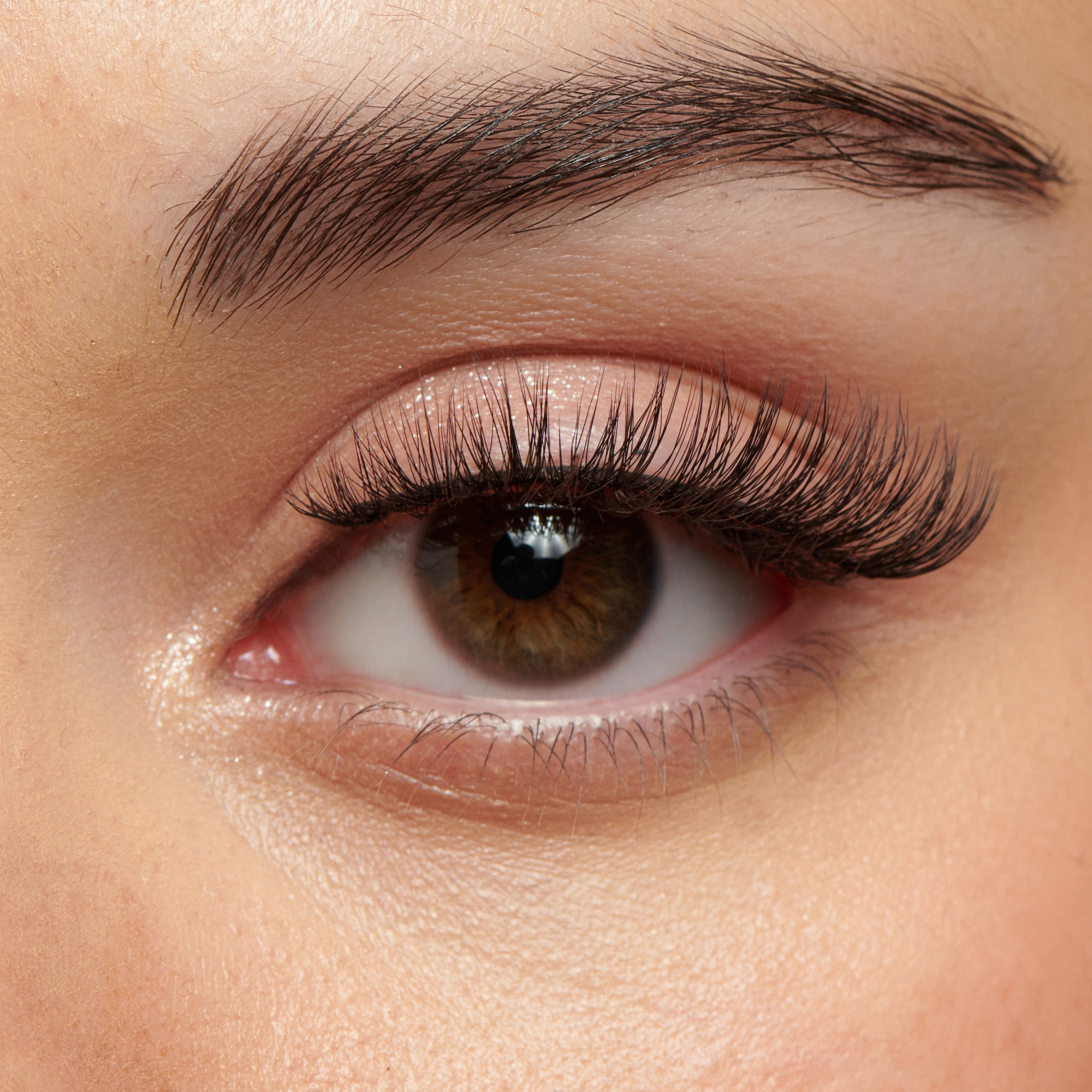 Kiss My Lash But Better 4-Pair Multipack - Bare Affair
