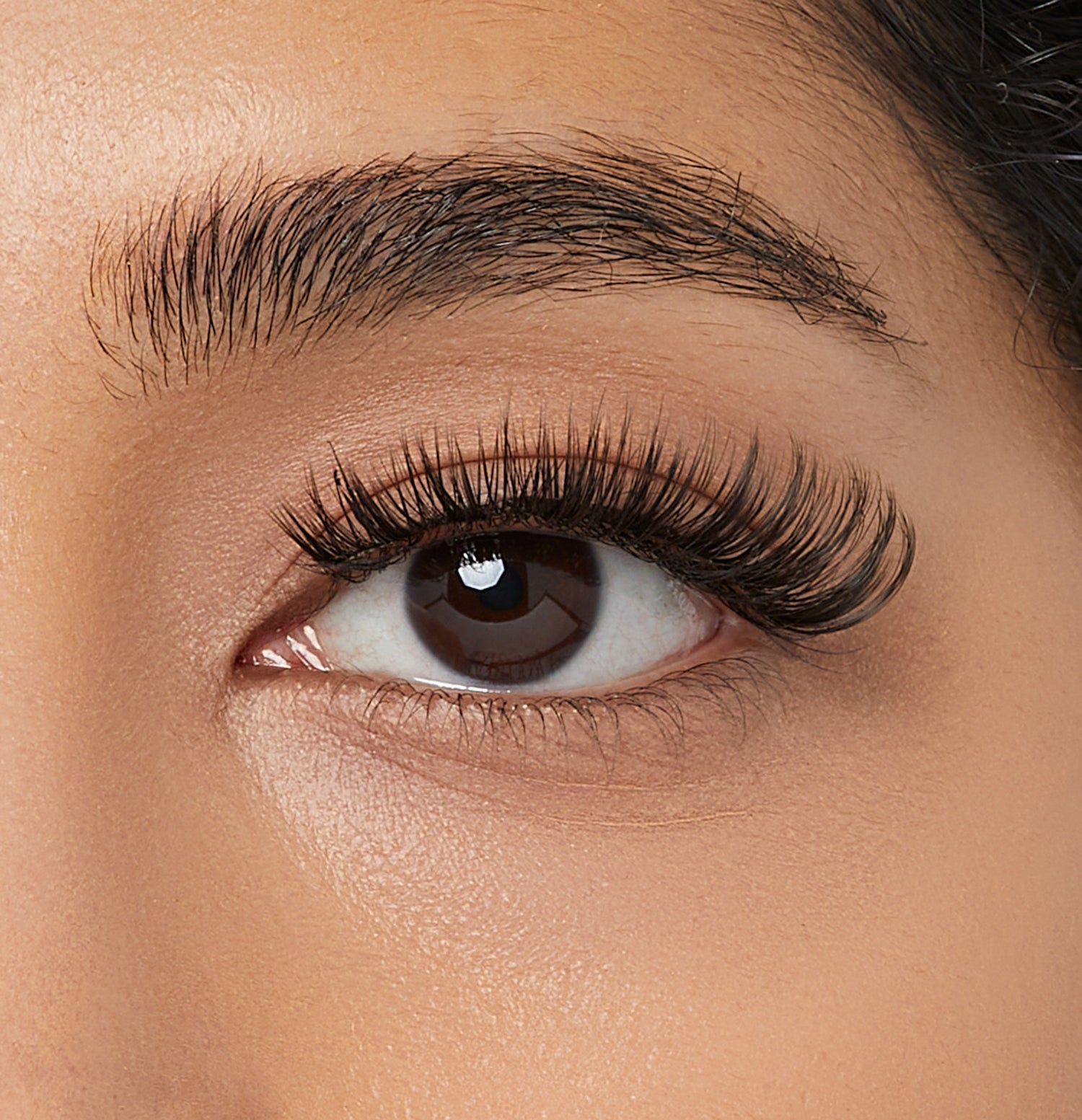 Close-up of eye with dark brown iris, full black lashes, and groomed eyebrow.