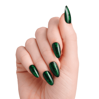 WICKED X KISS Signature Collection Bundle