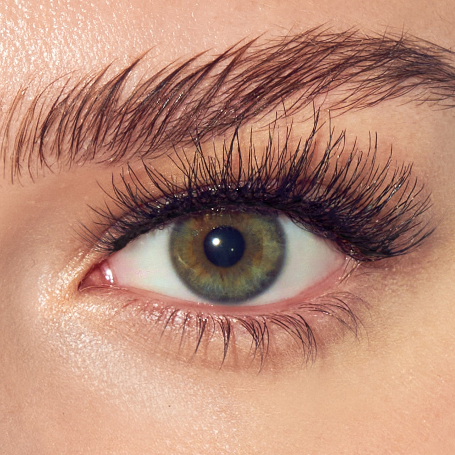 imPRESS Falsies Pre-Glued Strip Lashes Kit - Classic Natural