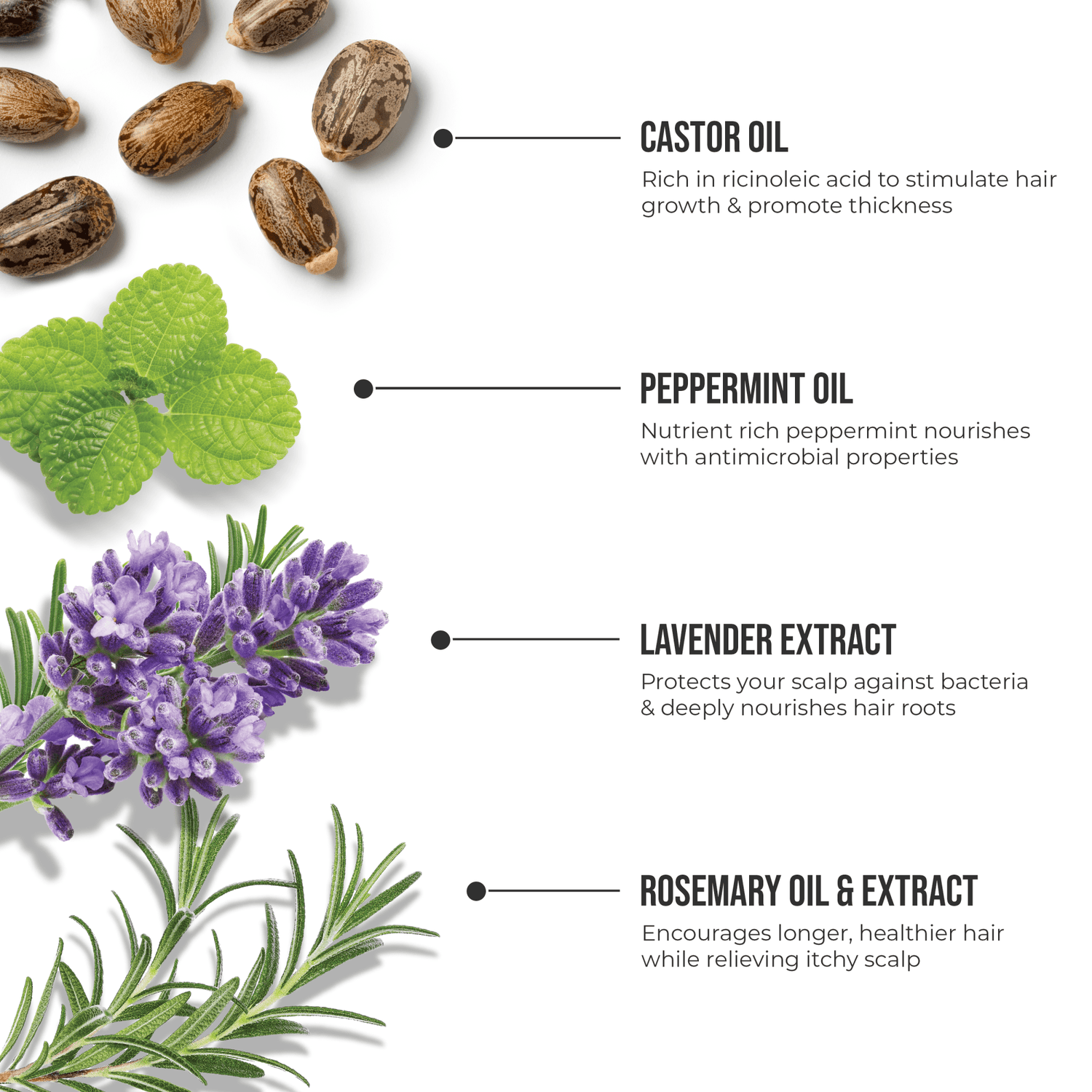 Healthy Hair Fixation Trio | Spot Fixer Growth Serum