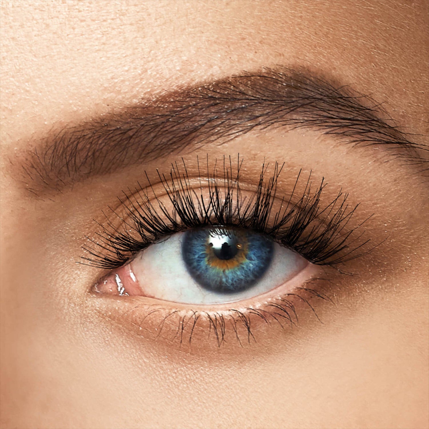 Close-up of blue eye with dark eyebrow, black lashes, and neutral eyeshadow makeup.