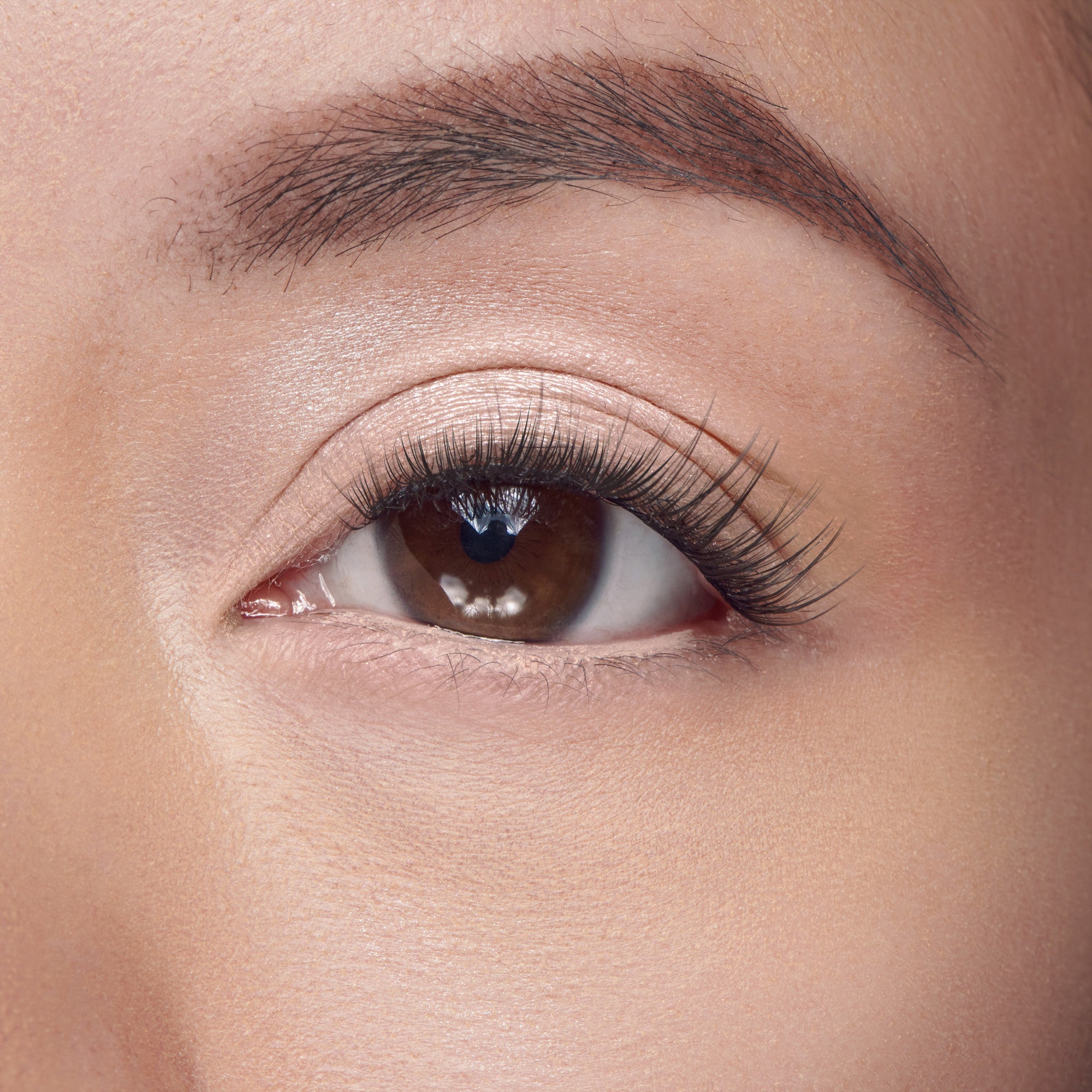 Falscara Classic Natural Mega Multipack | DIY False Lash Extensions, Cluster Lash, Wispy Lashes, 70 Wisps, 8mm-16mm