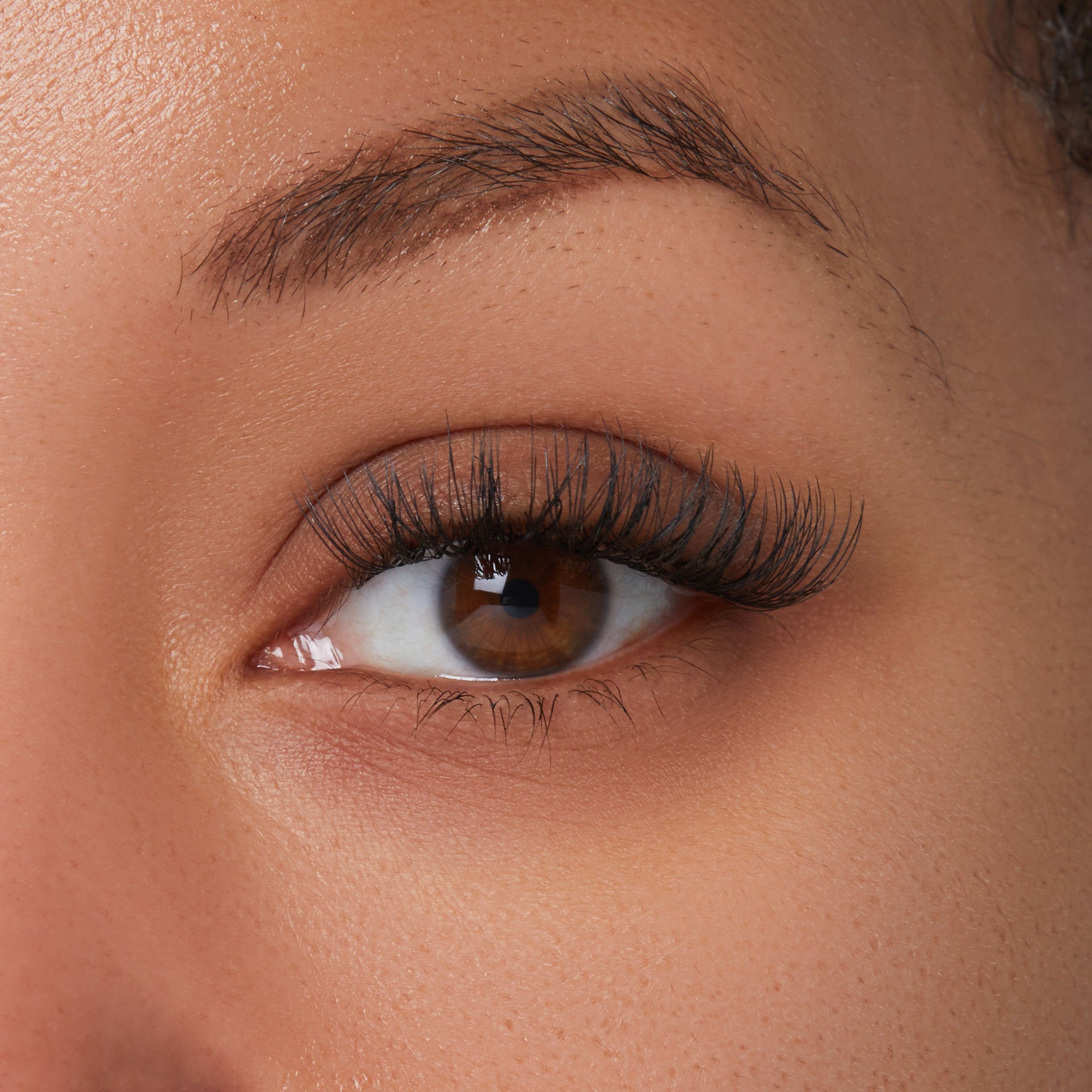 Close-up of eye with dark eyebrows, full black eyelashes, and brown iris on peachy skin tone.