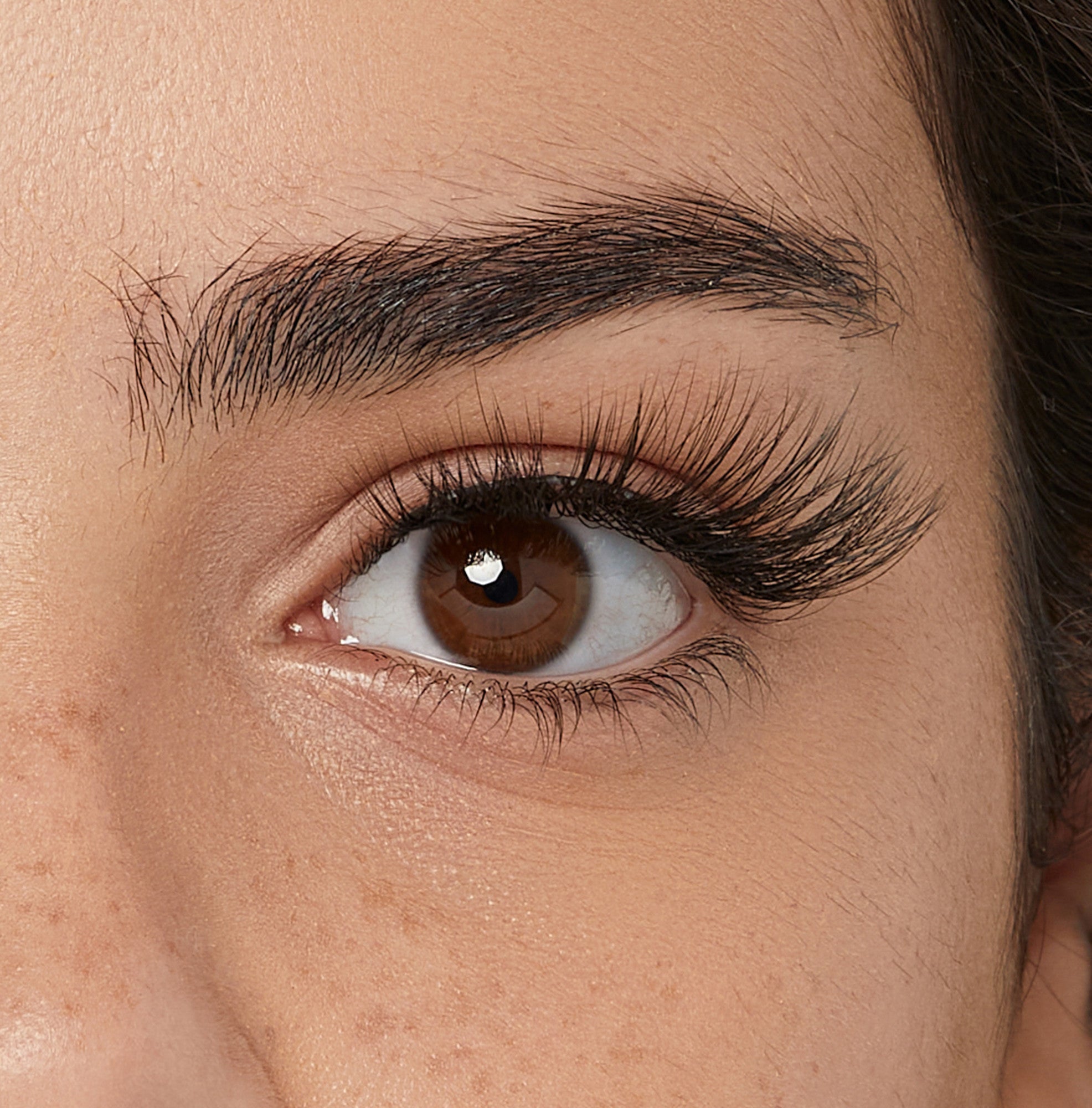 Close-up of brown eye with dark eyebrow and false lashes applied.