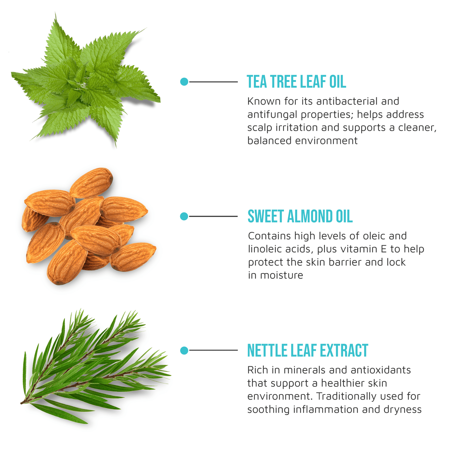 KISS Colors &amp; Care Multivitamin Oil - Tea Tree