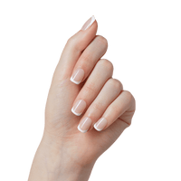 imPRESS Classic French Press On Nails - Model